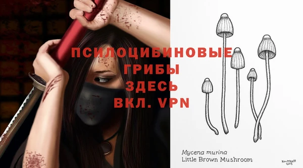 мет Богданович