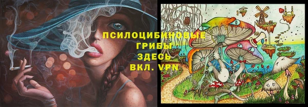 COCAINE Богородицк