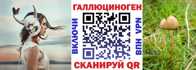 Галлюциногенные грибы Magic Shrooms  купить закладку  MEGA зеркало  Удомля 